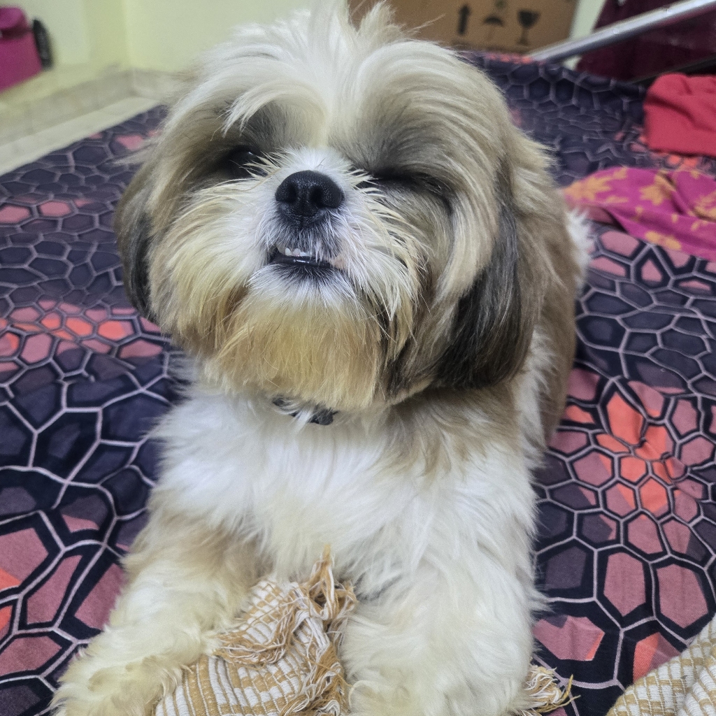 Vaishnavi M. photo